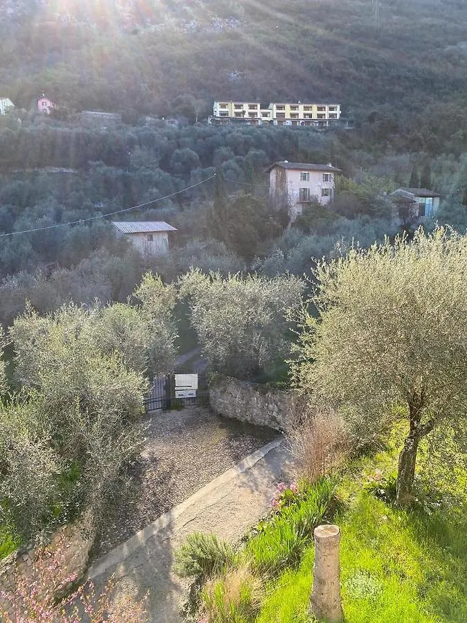 Ferienwohnung Olive Grove House Malcesine Apartment